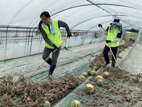 이종욱 농협충남세종본부장(왼쪽)과 임직원들이 논산시 채운면 수해현장을 찾아 수박 비닐하우스 복구 작업을 진행하고 있다