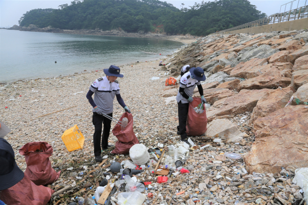수해복구 관련 해안가 유입 해양쓰레기 정화활동 모습