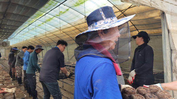 청양지역 수해복구현장 모습