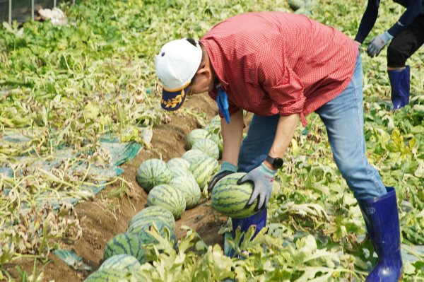 이완섭 서산시장이 21일 충남 부여군 수해 지역에서 공직자들과 함께 수해복구작업을 하는 모습