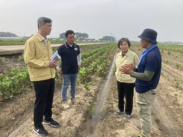 전북 김제 논콩 재배단지 피해 현장 점검 * 한국농수산식품유통공사 배옥병 수급이사(우측 2번째)