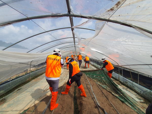 당진시체육단체 긴급수해복구 지원 봉사활동 진행 모습