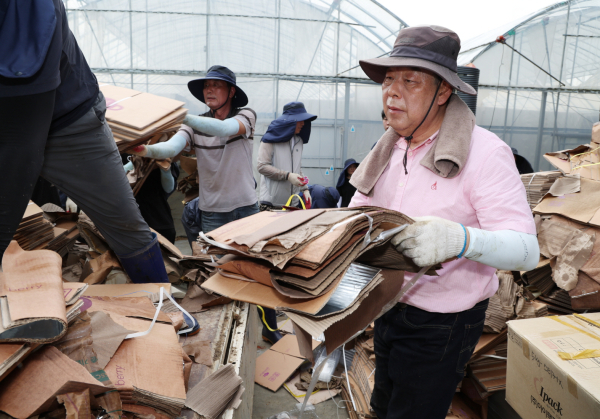 25일 청양군 청남면에서 수해 복구 봉사에 나선 가세로 태안군수와 공직자들.