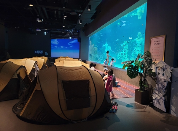 사이언스 나이트캠프