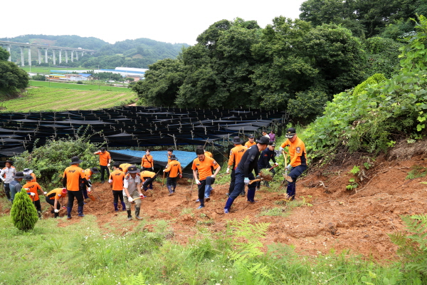 수해 피해지역 수해복구 봉사활동 모습