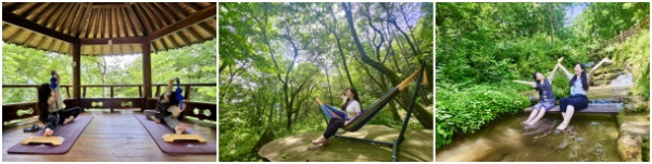 숲요가테라피, 숲해먹테라피, 숲족욕 프로그램 모습