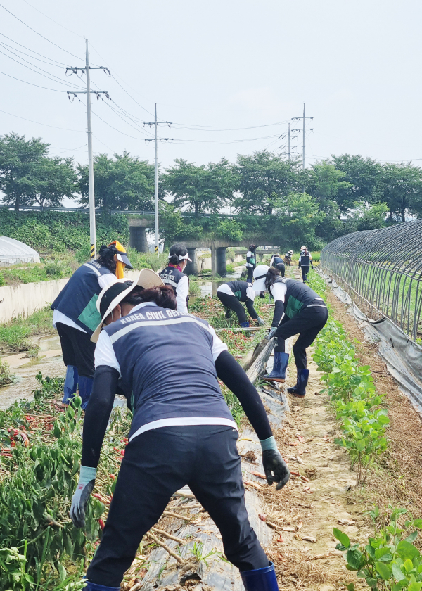 지난 31일 서산시 여성지원민방위대가 청양군 청남면을 찾아 수해복구 지원 모습
