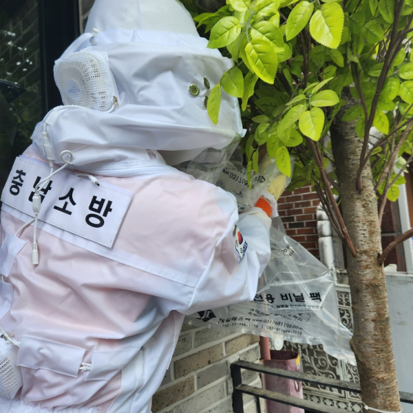 계룡소방서에서 벌집제거 신고를 받고 출동하여 벌집제거 활동을 하고 있는 모습