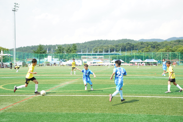 지난달 28일부터 1일까지 종합운동장과 서산스포츠테마파크에서 열린 2023 서산시장배 국제 유소년 축구대회 모습