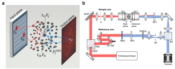 비선형 산란매질의 전파 응답 및 측정 시스템