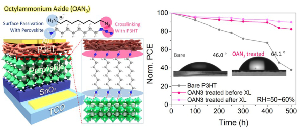 송슬기 교수 JMCA 이머징 인베스티게이터 선정-1.jpg