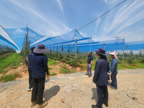 일소피해 저감 시설 햇빛차단망