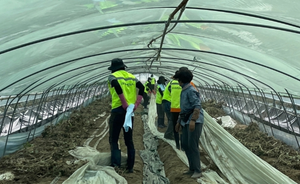 수해복구 봉사활동 진행 장면/충남TP 제공