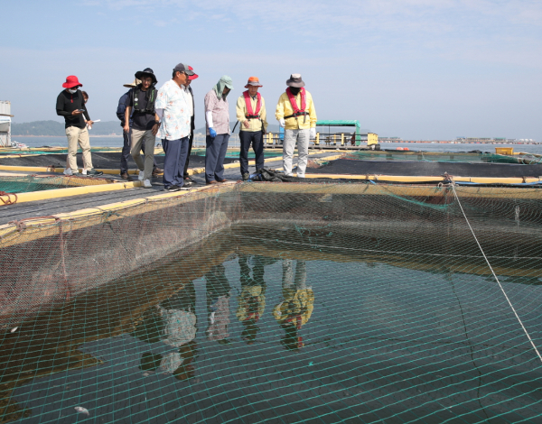 지난 6일 천수만 일대 가두리양식장을 찾아 점검 중인 가세로 태안군수