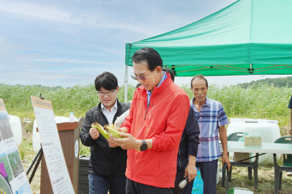 9일 고북면 친환경 조사료 생산단지 일원에서 열린 사료용 옥수수 수확 연시회 모습