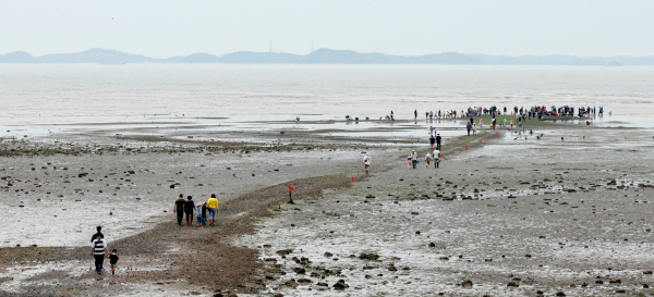갯벌 체험 사진