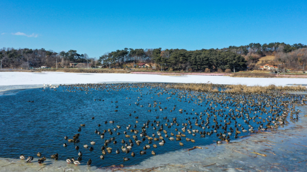 당산생태공원 전경