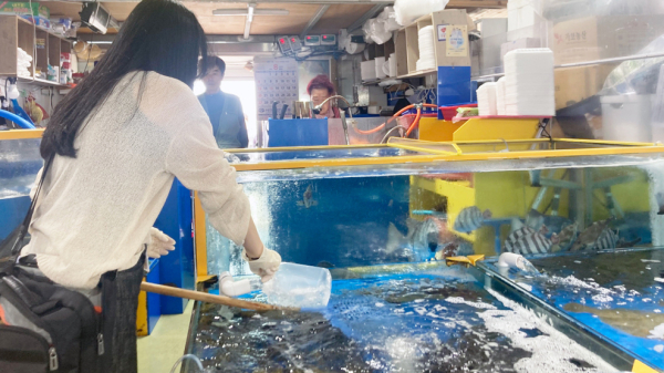 서산시 보건소 직원들이 지난 9일 대전지방식품의약품안전청 관계자와 함께 합동 수산물 점검을 실시했다