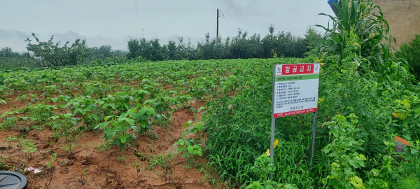 과수화상병 폐원농가 지원 농원 전경