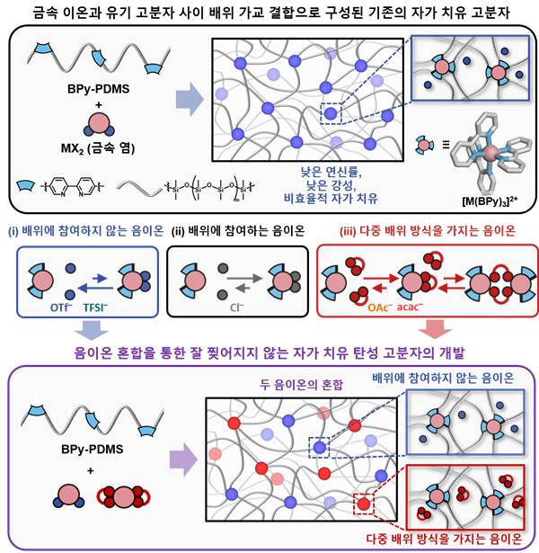 음이온 혼합을 통한 잘 찢어지지 않으면서 효율적 자가 치유가 가능한 탄성 고분자 소재의 개발