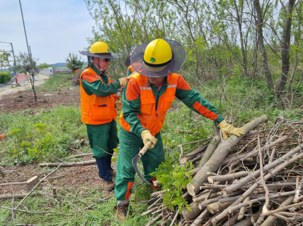 미이용 산림바이오매스 수집단 활동