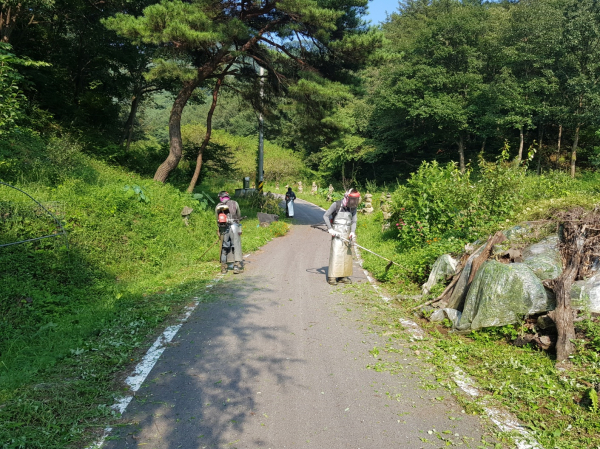 예산군 임도변 풀베기 작업 모습