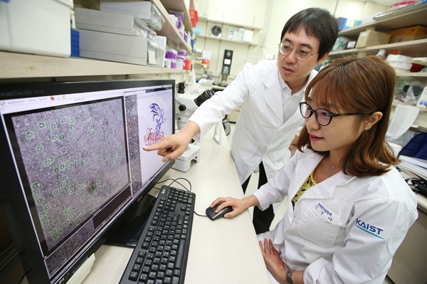KAIST 의과학대학원