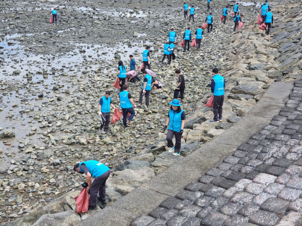 송악읍 안섬포구 바닷가 대청결운동 전개 모습