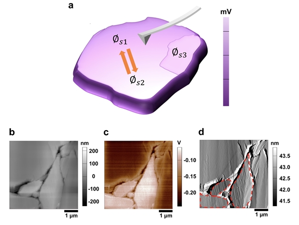 활물질의 표면 전위를 측정하고 있는 켈빈프루브현미경(KPFM) 탐침의 도식화된 그림