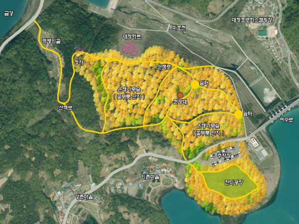 대청호 천년의 숲 조성 예시도