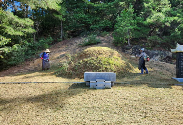 묘지 벌초대행 모습