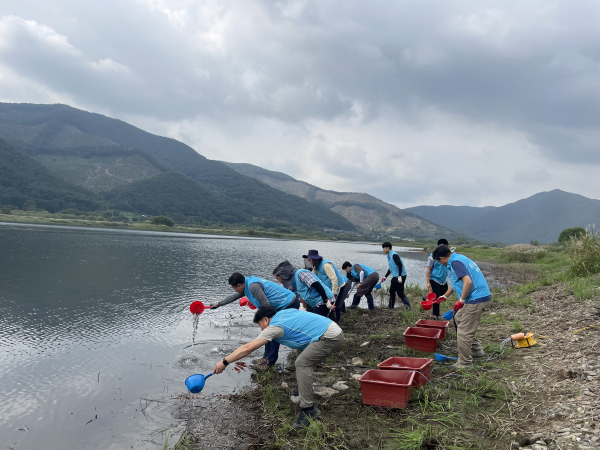 치어방류 행사 사진