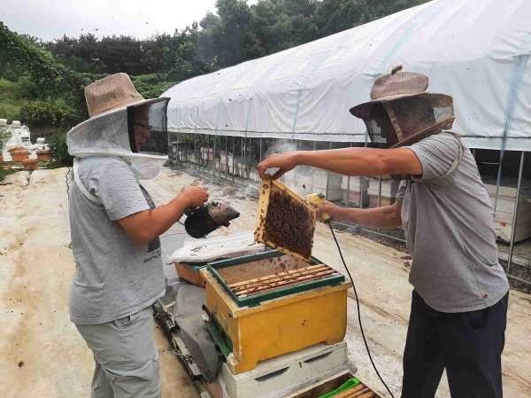 양봉멘토링 모습