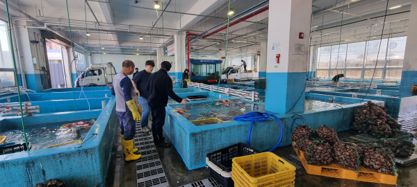 수산물 방사능 특별조사 모습