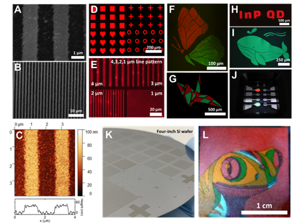 제시된 공정을 통해 제작된 다양한 패턴