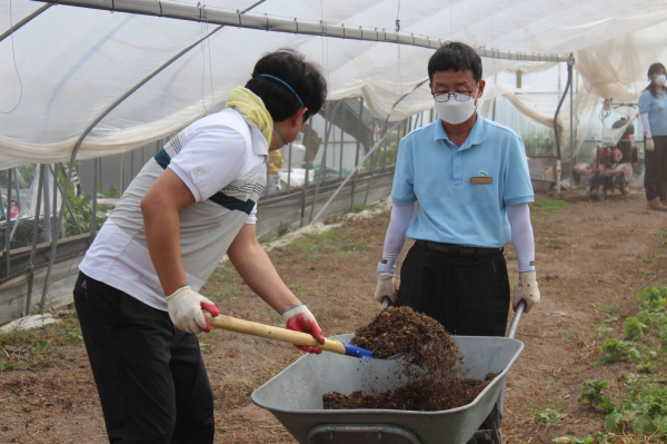 지난 25일 세동농촌체험마을(대전 유성구 세동)에서 사회공헌활동의 일환으로 이영록 국립대전숲체원장과 직원이 기부된 비료를 활용해 밭에 시비를 하고 있다.