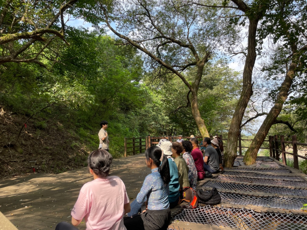 국립산림치유원 항노화 산림치유캠프에 참가한 참가자들이 숲속 치유프로그램에 참여하고 있다