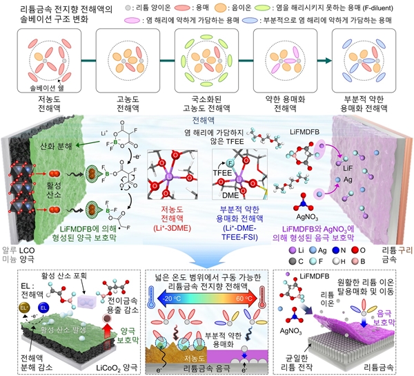 전해액의 솔베이션 구조의 변화(위)와 개발 전해액 조성의 작동 메커니즘 모식도
