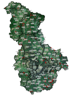 야생 멧돼지 포획 지역