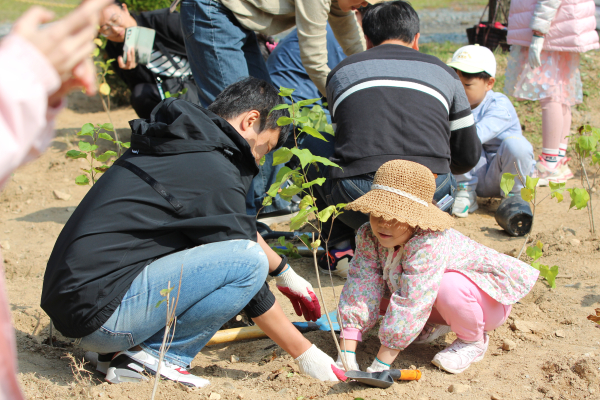 수목 식재 장면. 한국산림복지진흥원 국립대전숲체원 제공