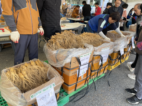 2023년 서산6년근 인삼 직거래행사 사진