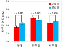해마, 전두엽 및 후두엽에서의 타우린 농도