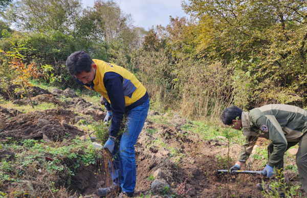 김윤양 충청본부장이 25일 국립공원공단 직원들과 함께 나무심기 활동을 하고 있다.