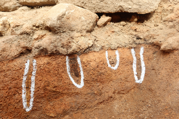 태안읍성 남동성벽 발굴조사 (말뚝지정 단면)