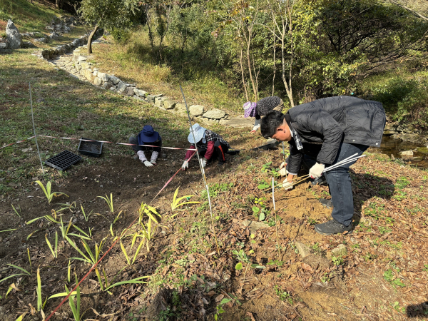 멸종위기식물을 식재하고 있다