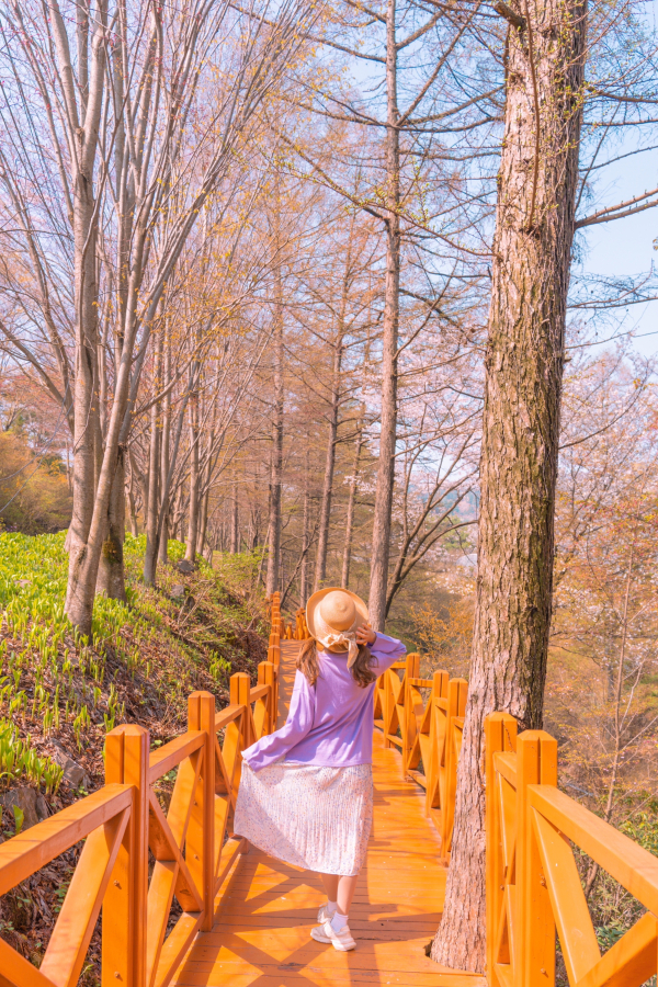청양군, 포토스팟 촬영 보조 앱 스냅팟과 협업