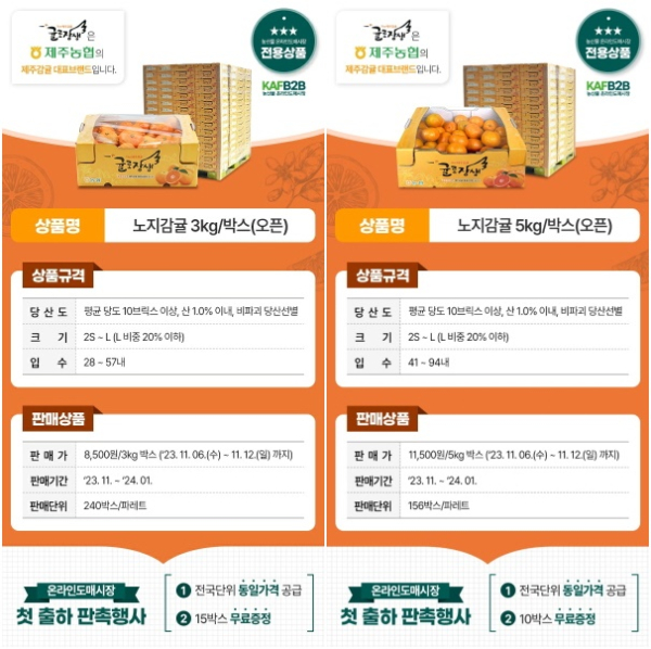 농산물 온라인도매시장 전용상품(제주농협 노지감귤)