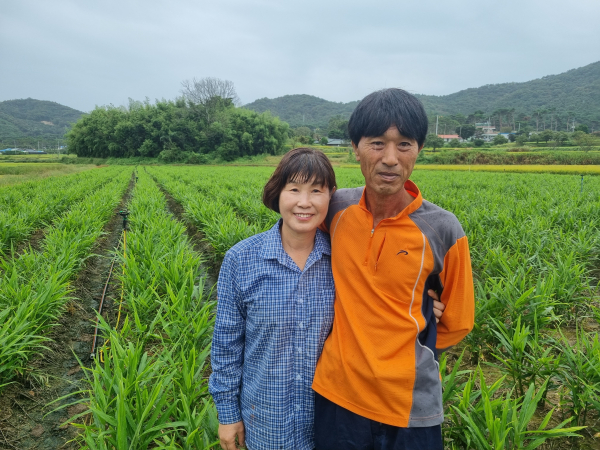 충남 당진 조재길 박정순 부부