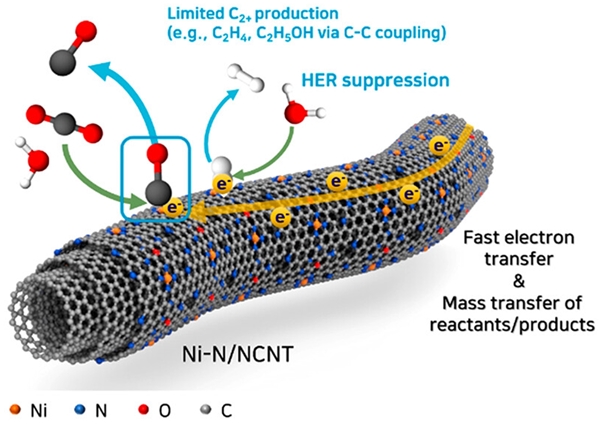 이산화탄소 환원반응 메커니즘