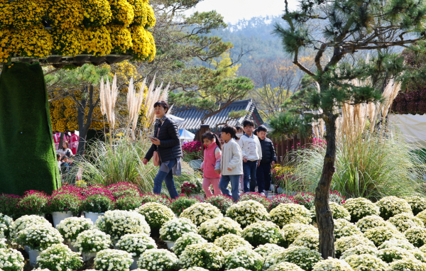 ‘2023년 꽃과 바다 태안 국화축제’ 모습(10월 27일).